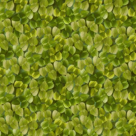 Shadow Leaves, DDC11528-FERN-D