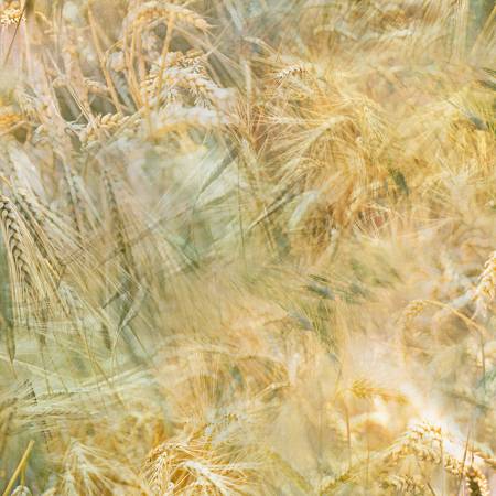 Honey Wheat Homestead Memories Digital Printed