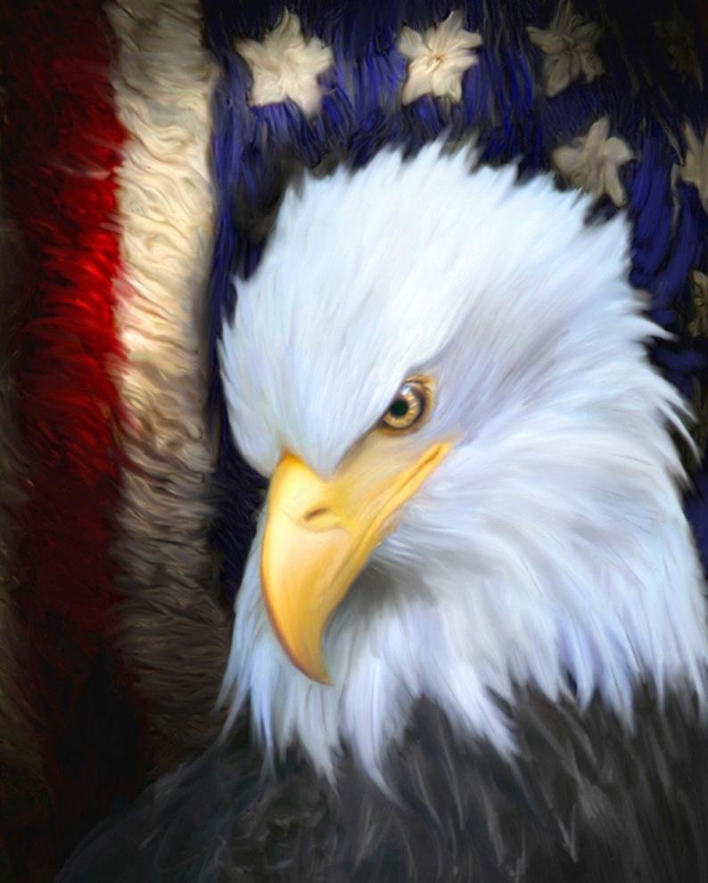 The Patriot Press Digital Panel by Four Seasons for David Textiles AL37949C1