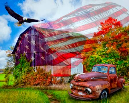 Land of Liberty Digital Panel by David Textiles, AL38810C1