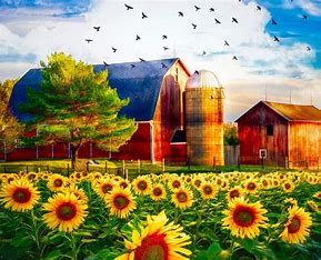 Sunflowers and The Barn Digital Panel by David Textiles AL38900C1